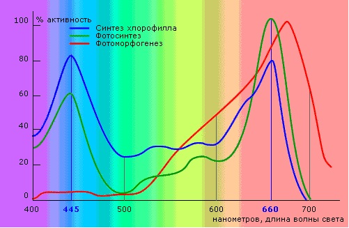 Поликарбонат nano greenhouse что это