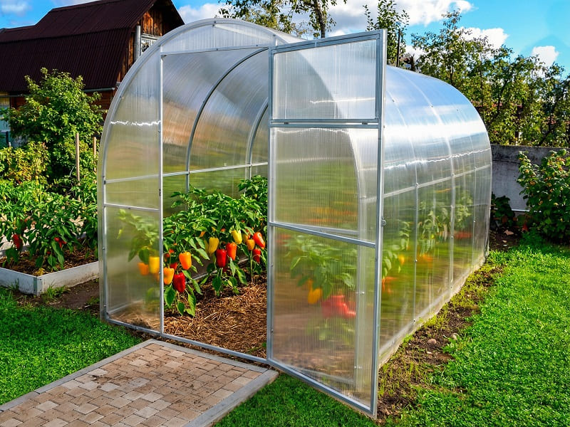 Теплица из сотового поликарбоната Урожай Двушка