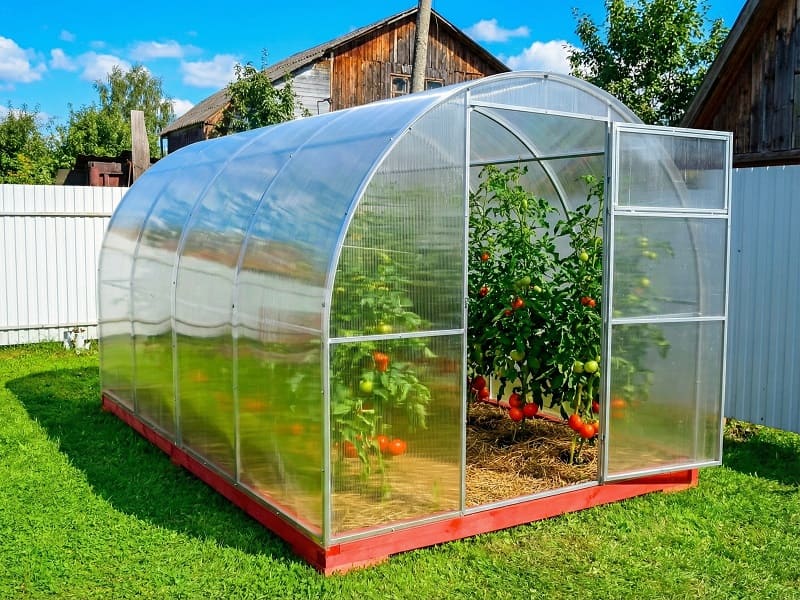 Теплица из поликарбоната Урожай Народная 2.5