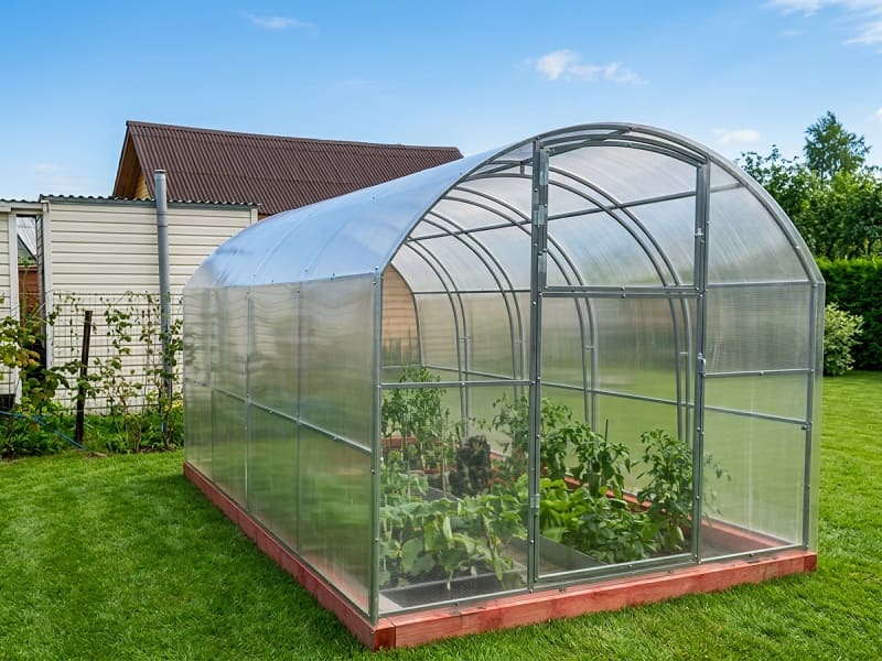 Теплица Кремлевская Сказка, ширина 2.7 м