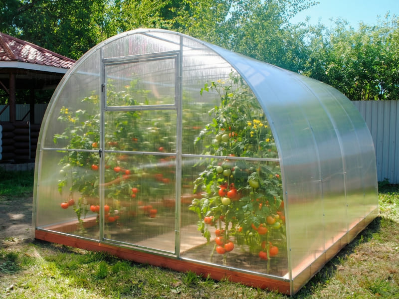 Теплица из поликарбоната с двойной дугой Урожай Оптима