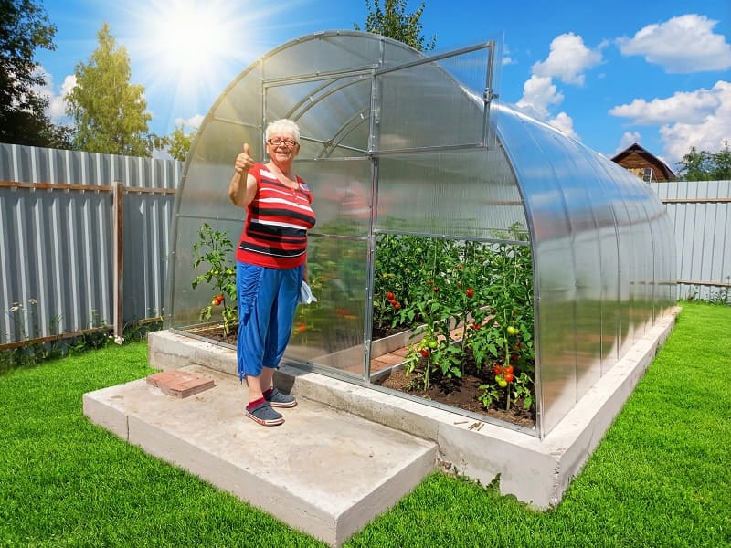 Теплица из поликарбоната Урожай Цинк ширина 2.5 м