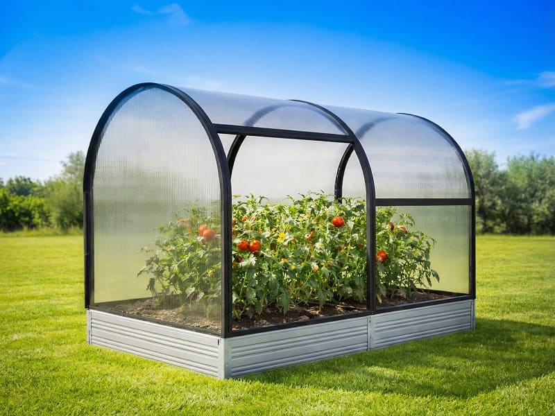 Парник Тюльпан Мини