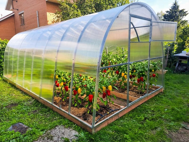 Теплица из сотового поликарбоната Урожай Титан