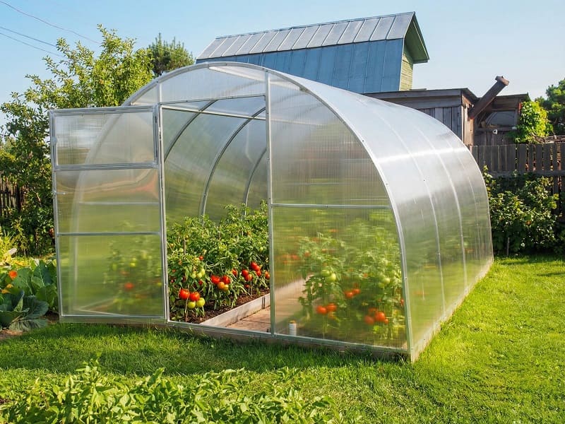 Теплица из поликарбоната Столичная