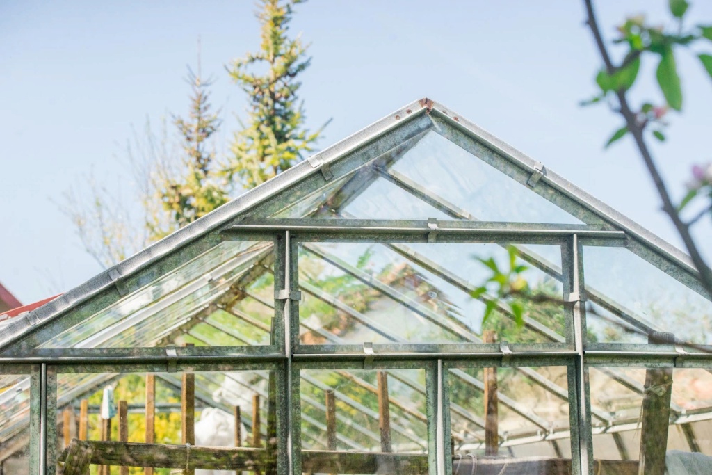 small-greenhouse-rural-area-small-village-glasshouse-food.jpg