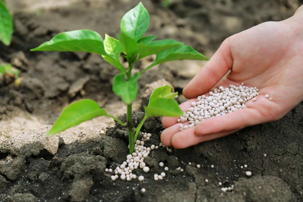 female-hand-with-fertilizer-plant-soil-background-min.jpg