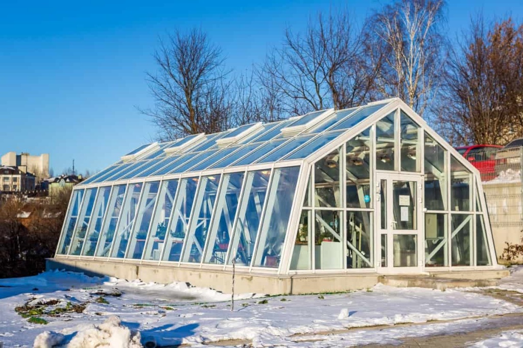 Co všechno se dá v zimě pěstovat ve vytápěném skleníku?