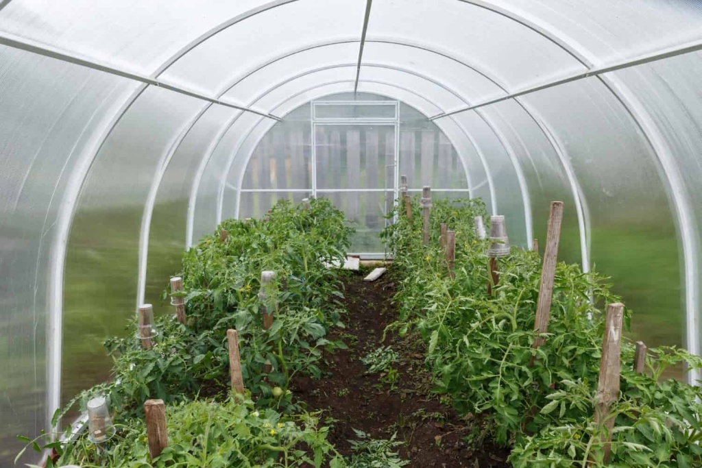 greenhouse-garden-greenhouse-made-polycarbonate-inside-greenhouse-min.jpg